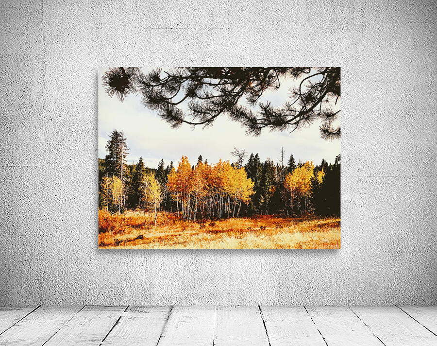 The Bones Wall Preview