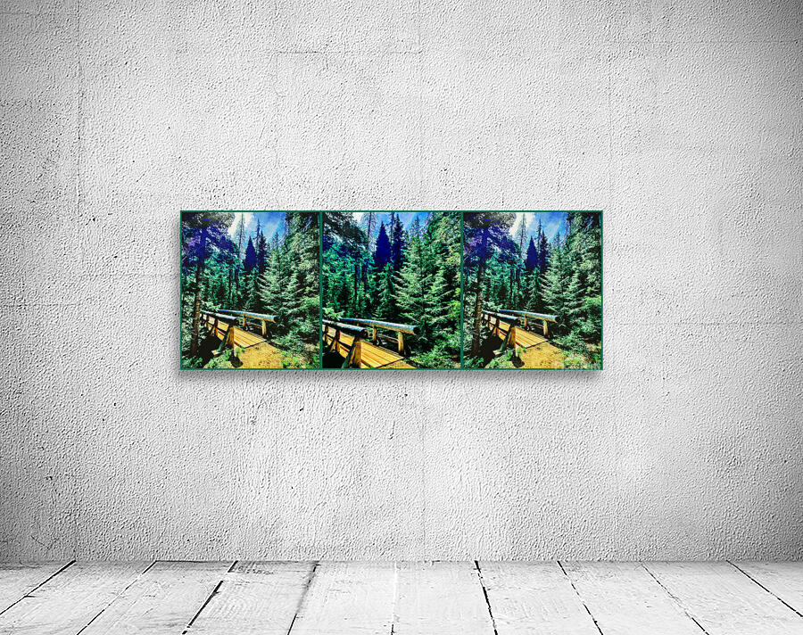 Through the Forest Wall Preview