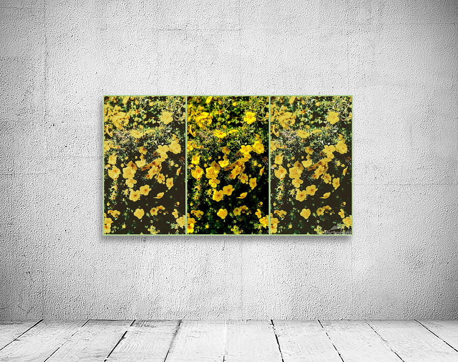 Butter Print Wall Preview