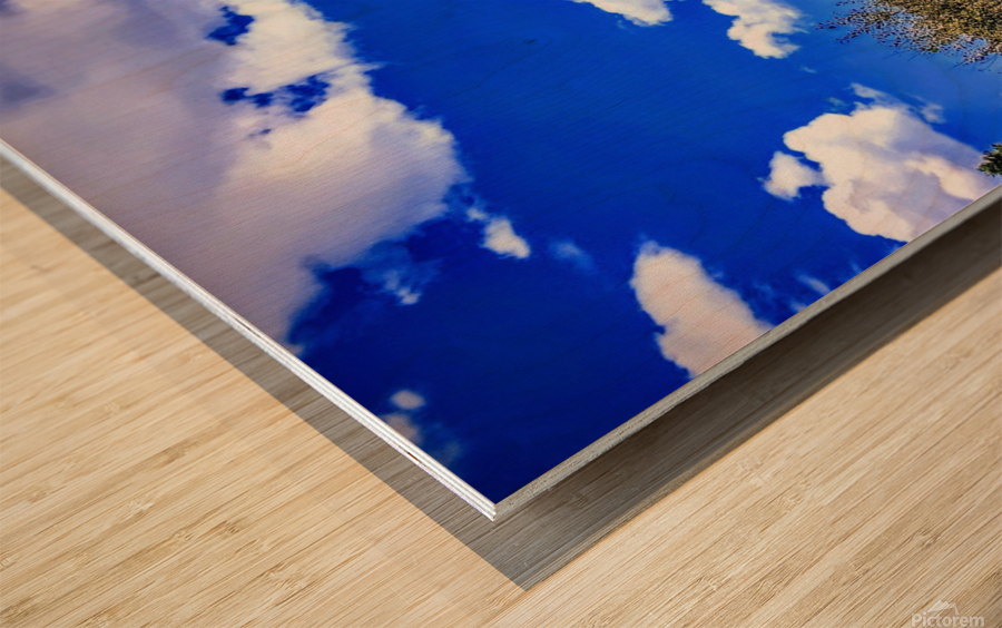 Drama King Elk Wood print