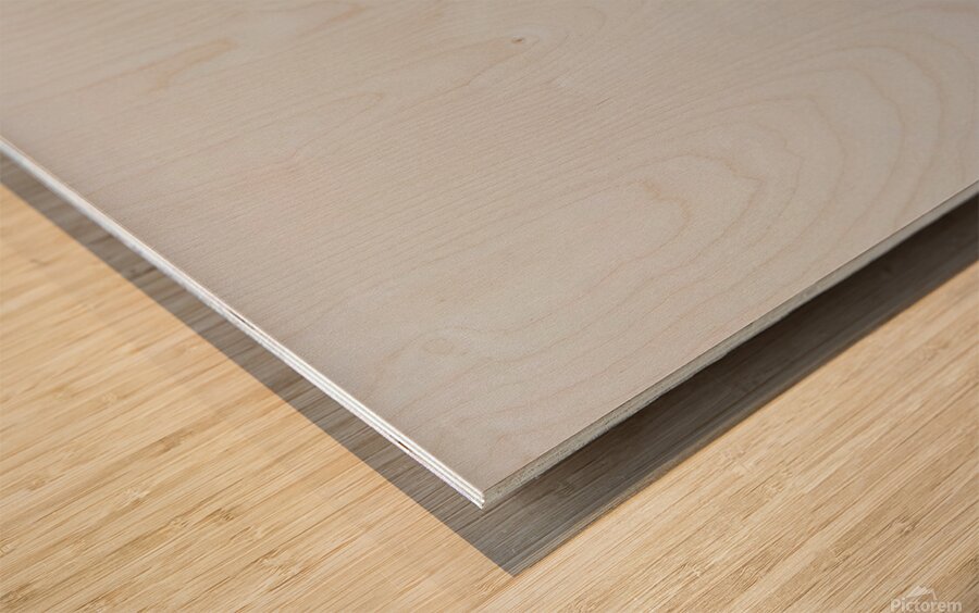 The Fog Claims the Lake Wood print