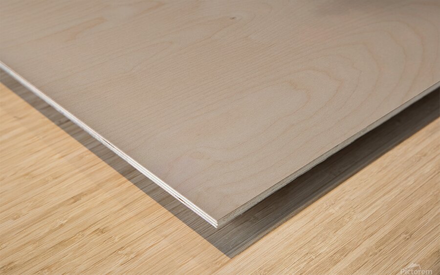 The Whispering Wood Wood print