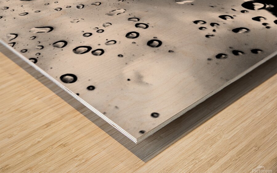 Silver  Rainbow Wood print