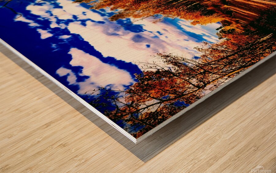 Pumpkin Path Wood print