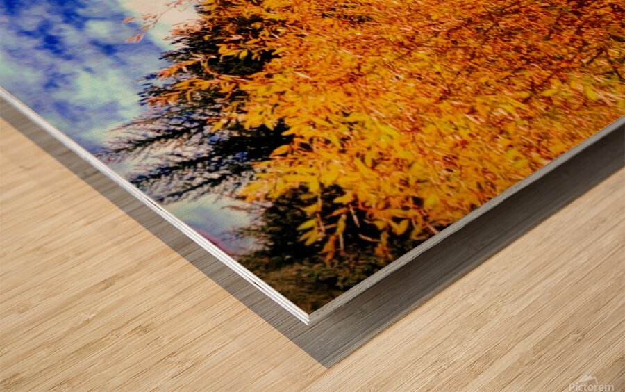 Pumpkin Glen Wood print