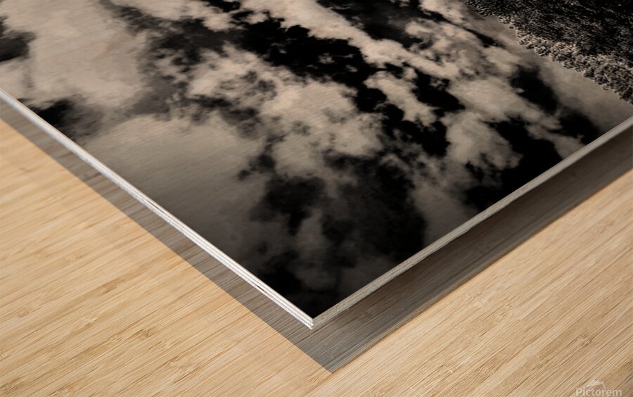 Horse Sky Wood print