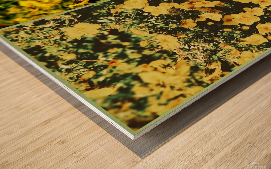 Butter Print Wood print