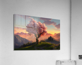 sakura Tree  Acrylic Print