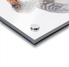 ZAZU Style Acrylic print
