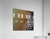  I5A7812 Edit Acrylic Print