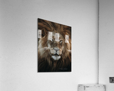 Madoda Acrylic Print