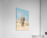 The Elephants Path Acrylic Print