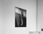 Bully Acrylic Print