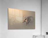 Secretive Aardvark Acrylic Print