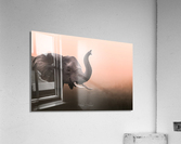 Elephant at Dawn Acrylic Print