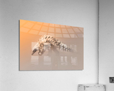 Golden Pangolin Acrylic Print