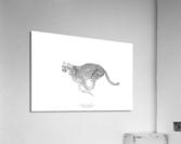 Speedy Cheetah Acrylic Print