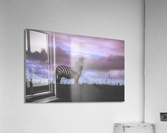 Life In Pink Acrylic Print