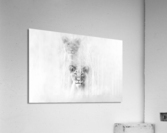 Heads Up  Acrylic Print