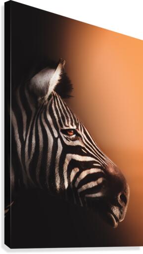 Glare into the Light Canvas Print
