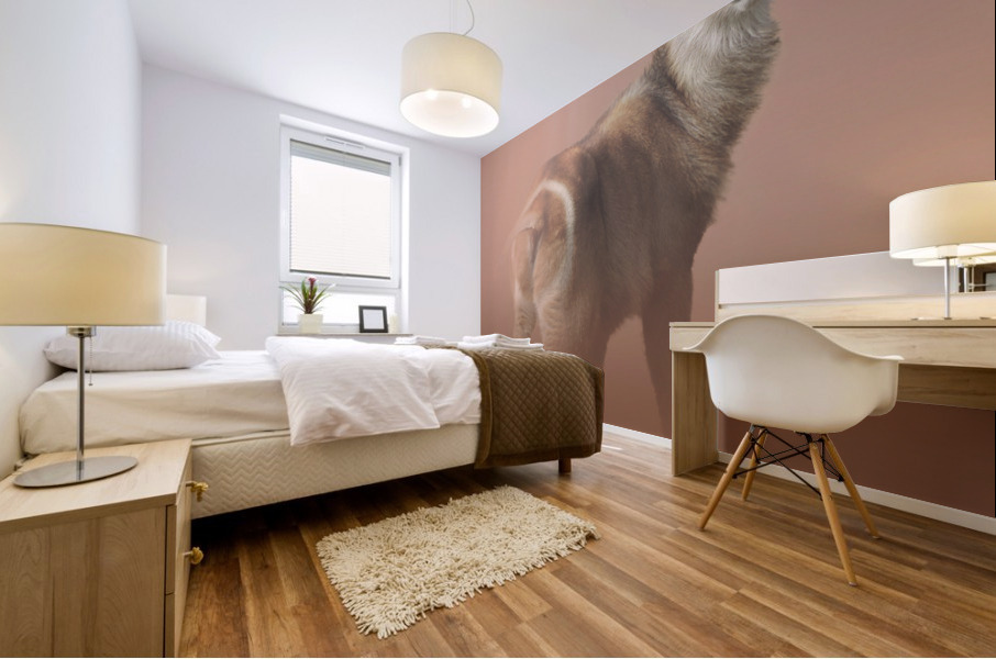 Striking Waterbuck Mural print