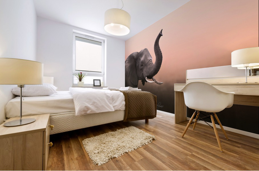Elephant at Dawn Mural print