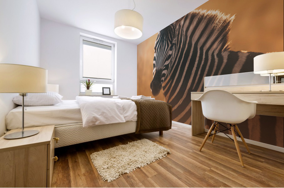 Gleaming Zebra Mural print