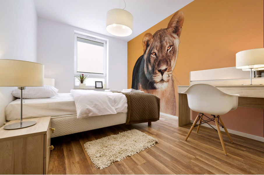Lioness Stare Mural print