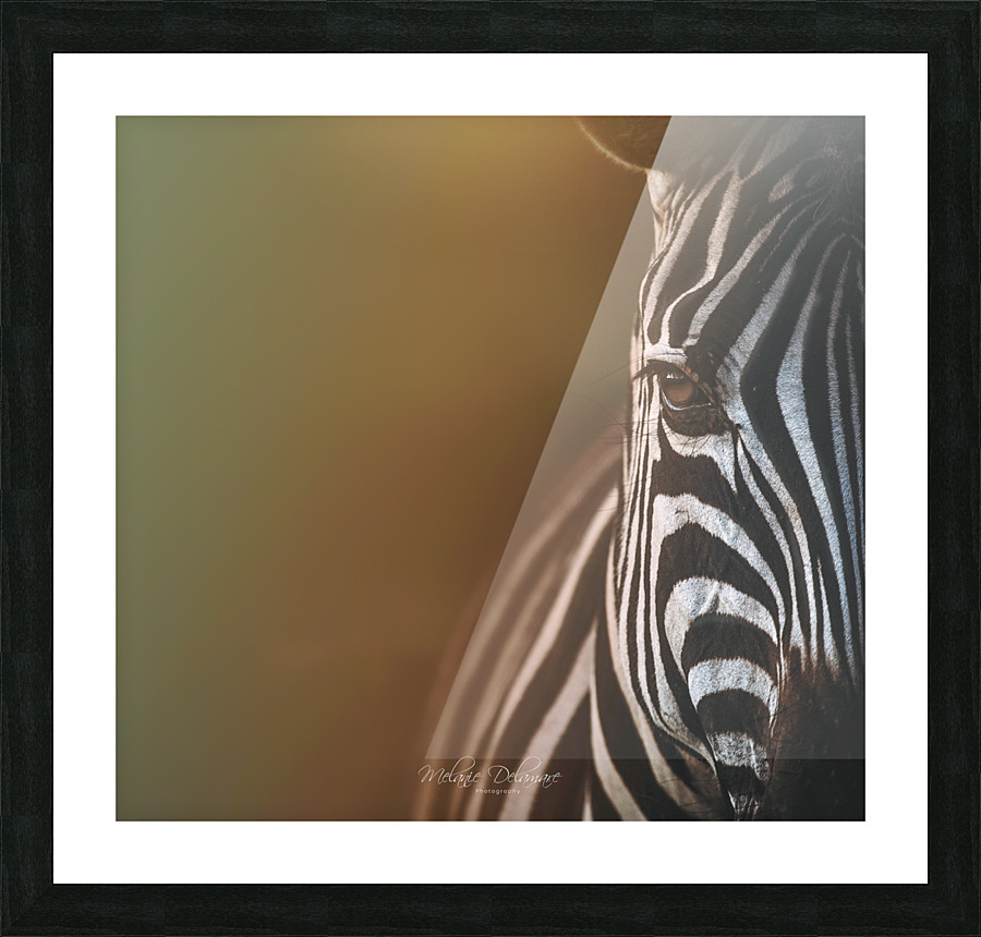  I5A7812 Edit Picture Frame print