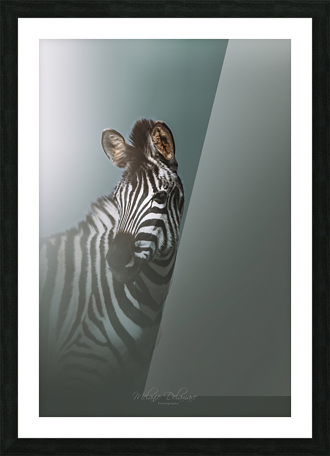 I5A1349 Edit Edit Picture Frame print