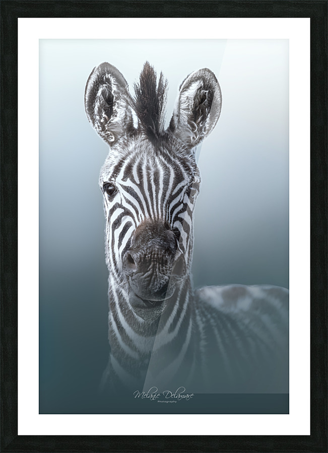 The Blues Picture Frame print