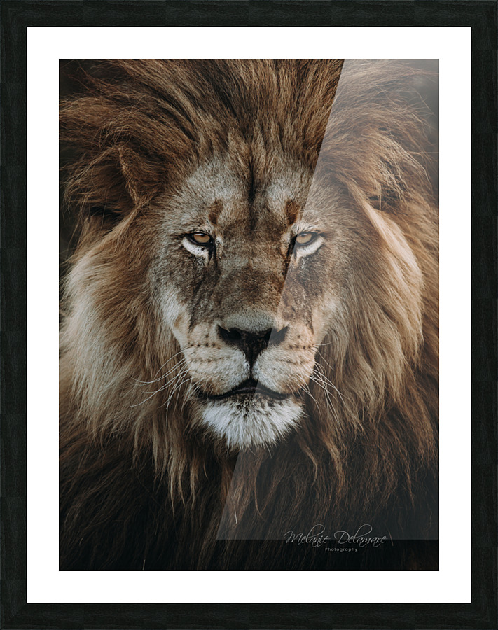 Madoda Picture Frame print