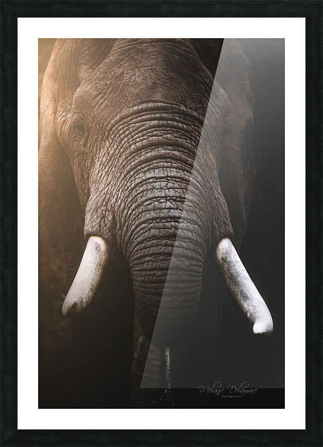 Bully The Undestructible Picture Frame print