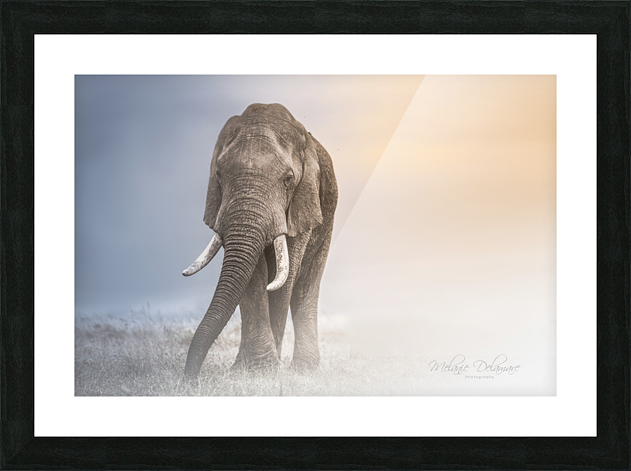 In Between Lights Picture Frame print