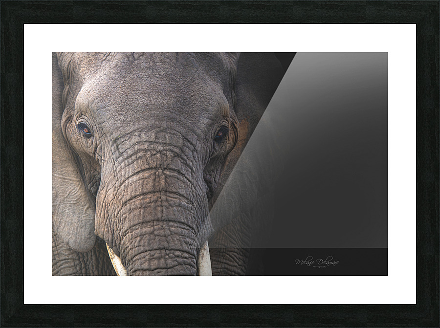 Bonnie Picture Frame print