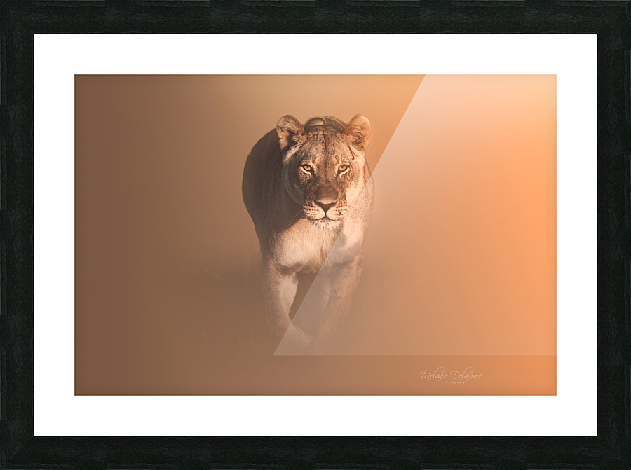 Hungry Eyes Picture Frame print