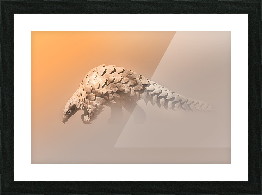Golden Pangolin Picture Frame print
