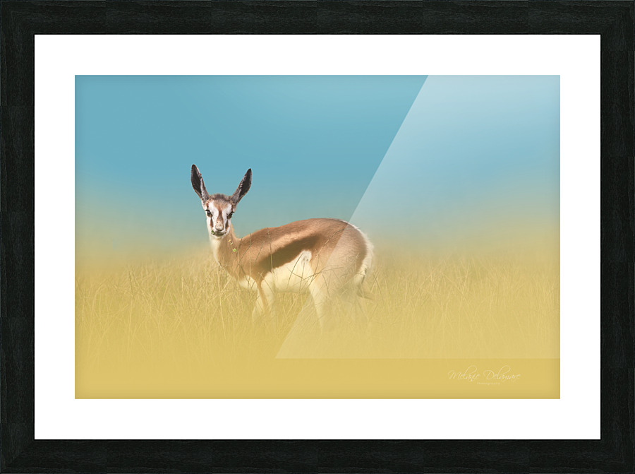 Springbok Dream Picture Frame print