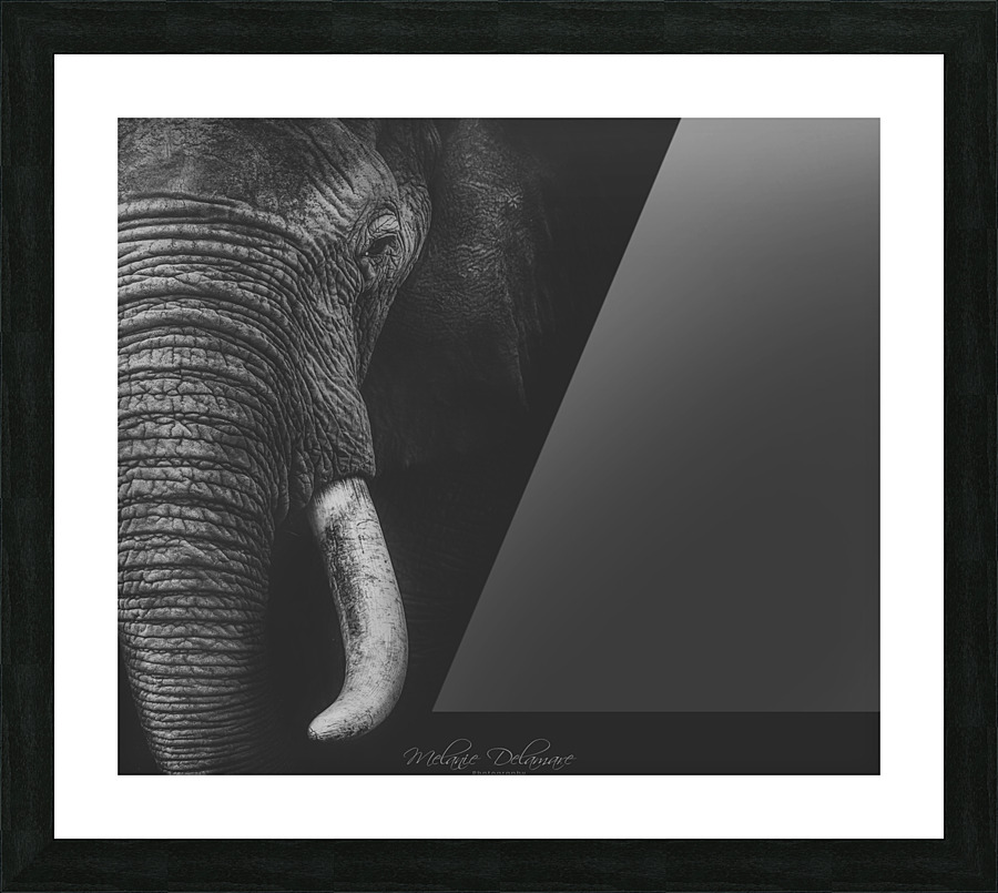 Bully in Square Picture Frame print