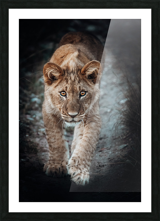 Simbas Look Picture Frame print