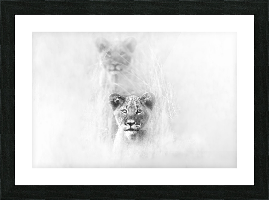 Heads Up  Picture Frame print