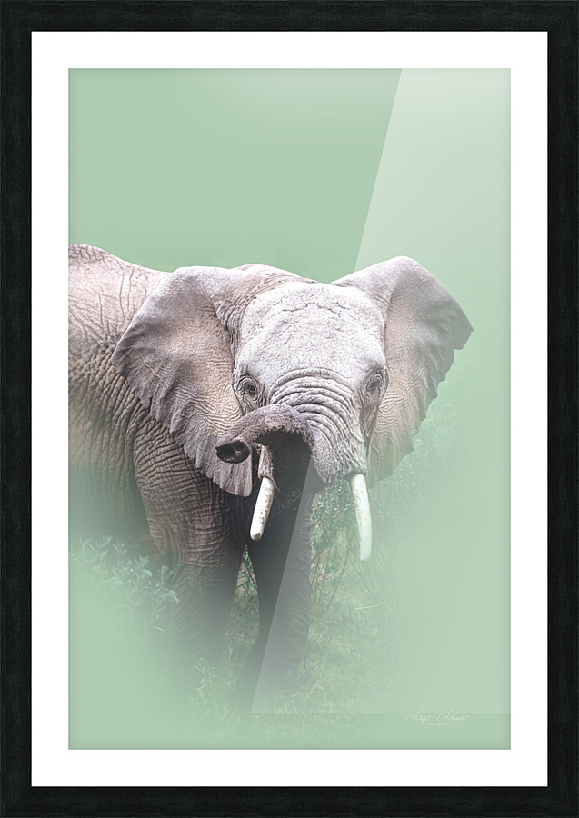 Trunk Attitude Picture Frame print