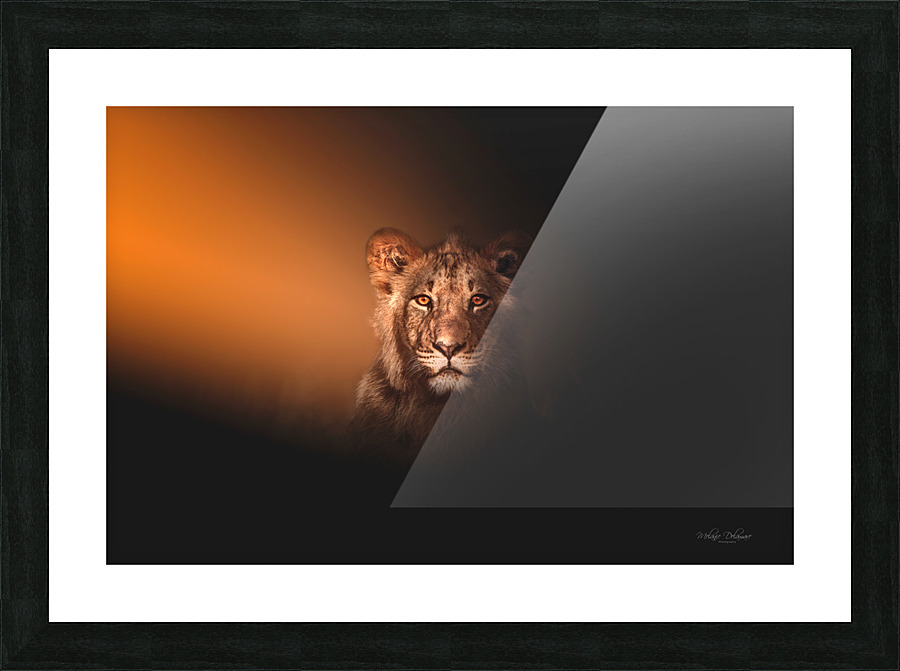 Touched By Light Picture Frame print