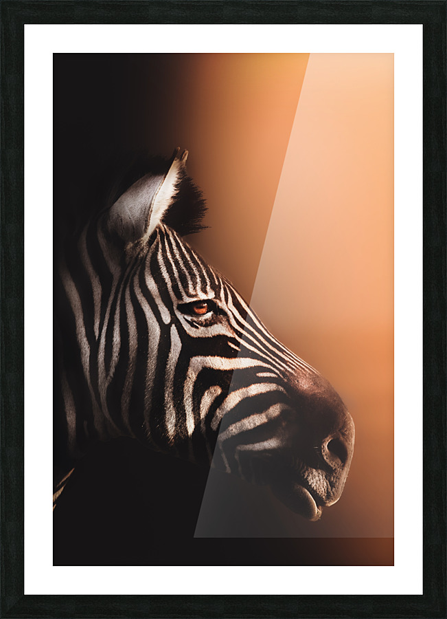 Glare into the Light Picture Frame print