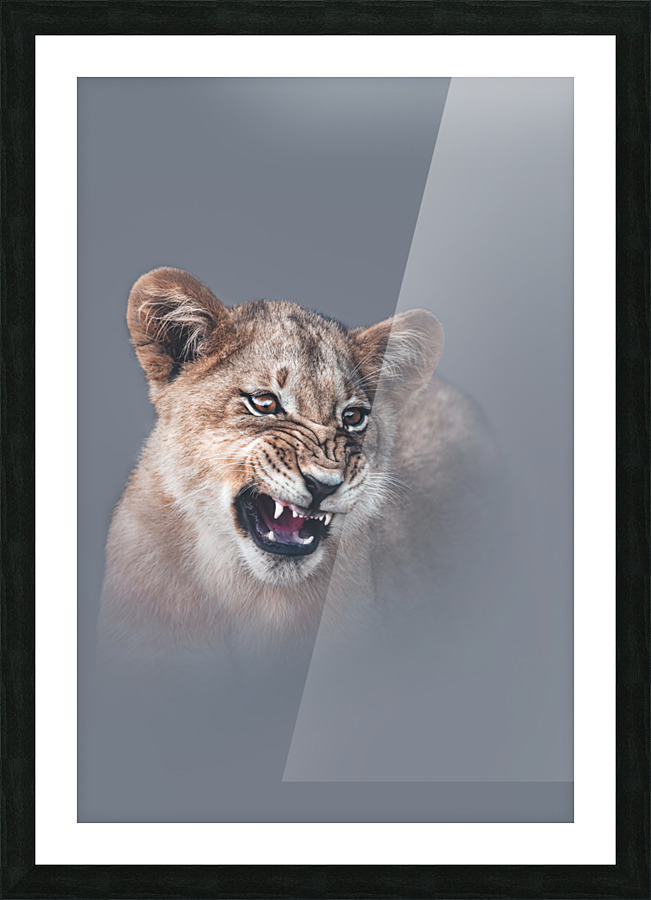 Feisty Kitty Picture Frame print
