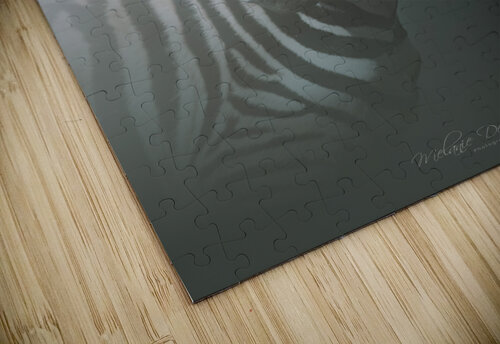  I5A1349 Edit Edit Melanie Delamare puzzle