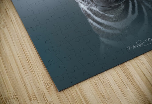 The Blues Melanie Delamare puzzle
