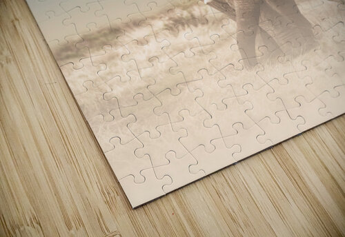 The Elephants Path Melanie Delamare puzzle