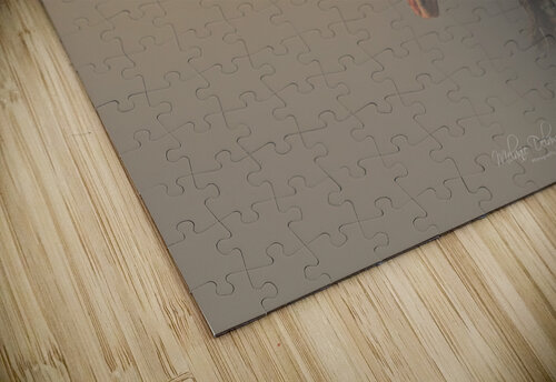 Secretive Aardvark Melanie Delamare puzzle