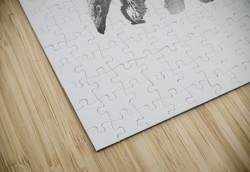 Shy Pangolin Melanie Delamare puzzle